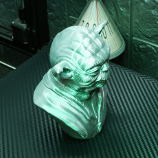 Picture of print of Master Yoda Bust