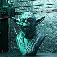 Picture of print of Master Yoda Bust