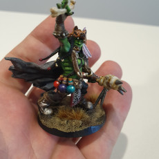Picture of print of Orc Military Shaman 01