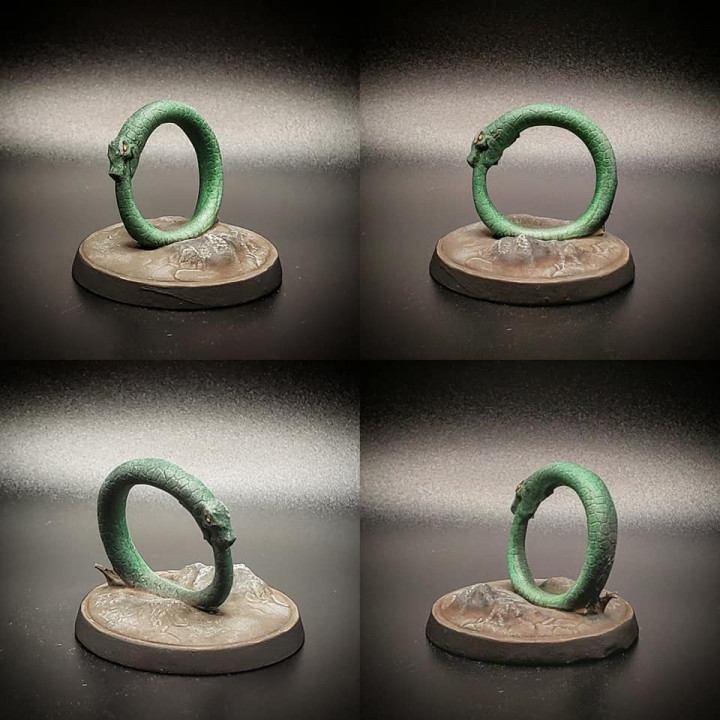 The Hoop Snake's Cover