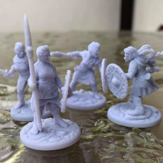 Picture of print of Shieldmaidens Warband Presupported