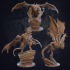 Arcane Dragon and Trapper Pack - Presupported image