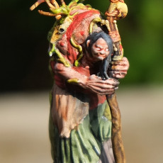 Picture of print of Annis Hag - Tabletop Miniature