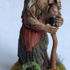 Picture of print of Annis Hag - Tabletop Miniature