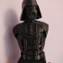 Darth Vader Bust - Star Wars print image