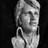 Elvis - the later years - Head Bust/Wall Hanging image