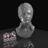 Elvis - The early years - Head Bust/Wall Hanging image