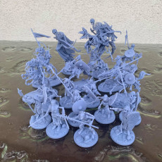 Picture of print of 12 x Draugars Infantry Part 1 & 2 Presupported