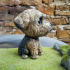 Maltese Bichon dog Funko Pop style 3D printable print image