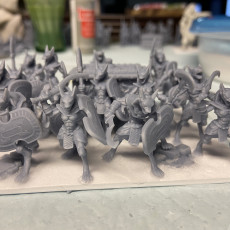 Picture of print of Anubis Soldier Army
