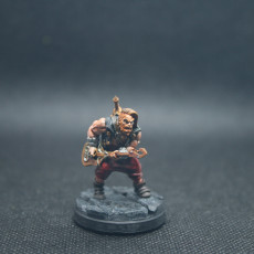 Picture of print of Human Bard - Professionally pre-supported!