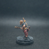 Human Bard - Professionally pre-supported! print image