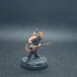 Human Bard - Professionally pre-supported! print image