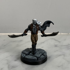 Picture of print of Dark Elf Ranger - Professionally pre-supported! This print has been uploaded by Daniele Fortini
