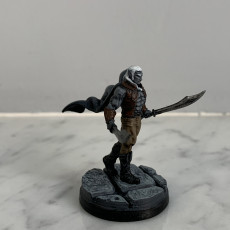 Picture of print of Dark Elf Ranger - Professionally pre-supported! This print has been uploaded by Daniele Fortini