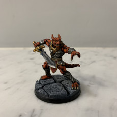 Picture of print of Dragonborn Paladin - Professionally pre-supported!