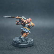 Picture of print of Dwarf Fighter Dual Wield  - Professionally pre-supported!