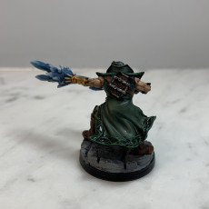 Picture of print of Elf Mage - Professionally pre-supported!