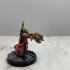 Human Gunslinger or Crossbow expert! - Professionally pre-supported! print image