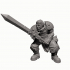 Human Fighter Knight  - Professionally pre-supported! image