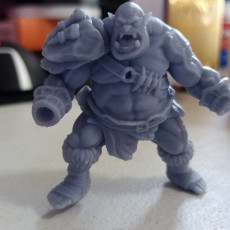 Picture of print of Ogre Champion - Professionally pre-supported! This print has been uploaded by Helio Uriel Treviño Guerrero