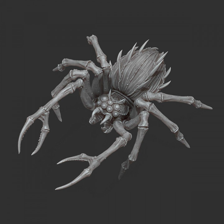 Predator Spider - Professionally pre-supported!'s Cover