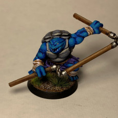 Picture of print of Tortle Monk - Professionally pre-supported! This print has been uploaded by Lanatus