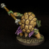 Tortle Monk - Professionally pre-supported! image