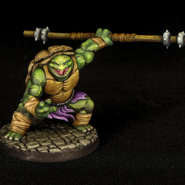 Tortle Monk - Professionally pre-supported!'s Cover