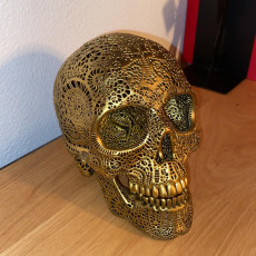 Picture of print of Filigree Anatomical Skull - Pre-supported STL