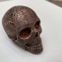 Filigree Anatomical Skull - Pre-supported STL print image
