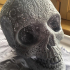 Filigree Anatomical Skull - Pre-supported STL print image