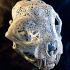 Filigree Anatomical Bobcat Skull - Pre-supported STL image