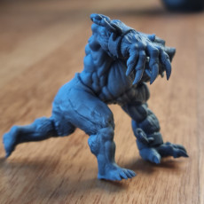 Picture of print of Werebear  - Professionally pre-supported!