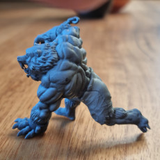 Picture of print of Werebear  - Professionally pre-supported!