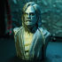 Luke Skywalker bust - The Last Jedi print image
