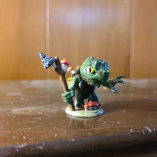 Picture of print of Turtle Druid 24mm PRE-SUPPORTED This print has been uploaded by Emilia Summers
