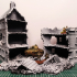Destroyed building - XVIII to XX period image