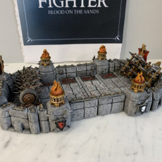 Picture of print of Pit Fighter Arenas - Professionally pre-supported! This print has been uploaded by Daniele Fortini