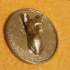 French bulldog medallion image