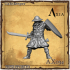 AX034 Peasant Sword and Shield image