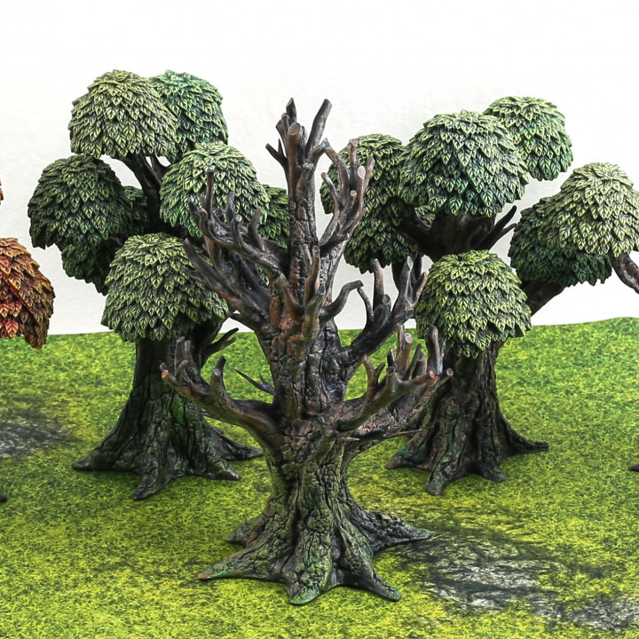 Set of 5 Trees with multiple leaf canopies! pre-supported for resin printing!'s Cover