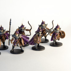 Picture of print of Arabian Nights Warriors