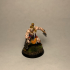 Wood Elf Blade Dancer  - Professionally pre-supported! print image