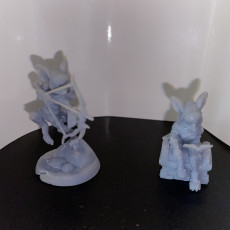 Picture of print of Mousefolk Rogue - Presupported
