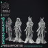 Sword Wraiths - 4 Models - Undead Sword Masters - PRE SUPPORTED -32mm scale - D&D image