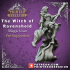 Witch of Ravenshold - Evil Magic User - Pre-Support - 32mm scale - D&D image