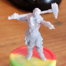 Picture of print of Female Barbarian