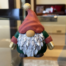 Picture of print of Gnome Miniature