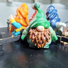 Picture of print of Gnome Miniature
